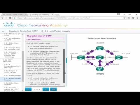 CCNA2 8