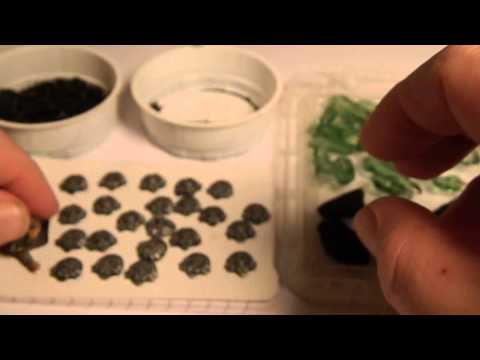 Thank You Commission - Part 1