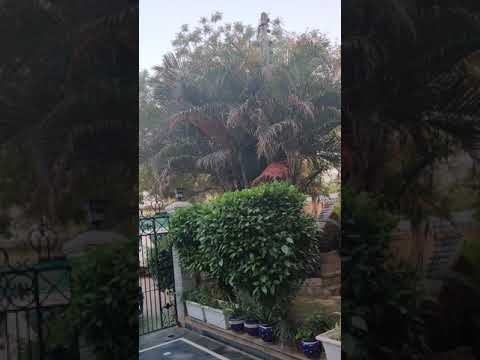 Karan Singh My love my passion