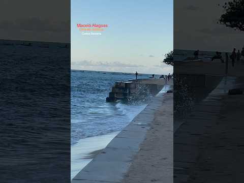 #maceioalagoas #praia #praiasdonordeste #turismo