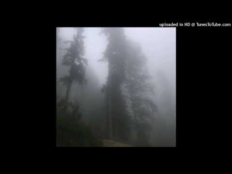 88GLAM x KILLY Type Beat 2021 - Forest