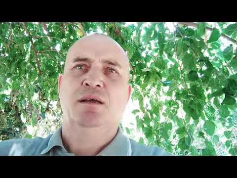 🇧🇪🚩ASCULTĂ/ MAI ESTE-O JUDECATĂ! 🇦🇩🇧🇪Cumplita  Judecată de apoi!