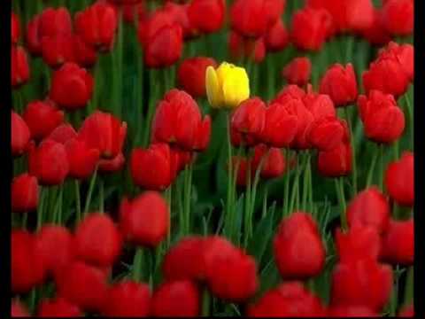 Momentos - Débora Miranda
