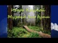 Игорь Крутой - Музыка для души 