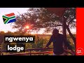 Accommodation Review: Ngwenya Lodge (Kruger National Park)[Self Drive South Africa]