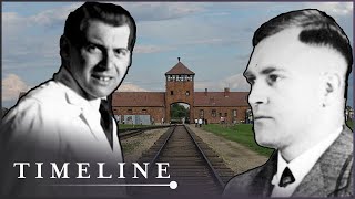 The Madness Of The Nazi Experiments  | Destruction (Nazi Doctors Documentary) | Timeline