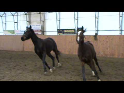 Elis&Fanny hala Trsice 21.2.2015