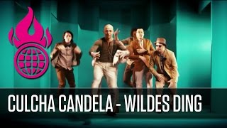 Wildes Ding Music Video