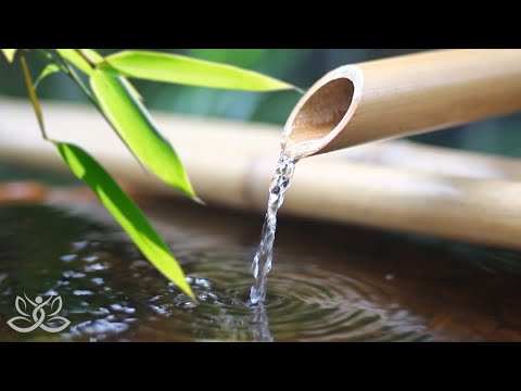 Relaxing zen music with water sounds • Quiet music for spas