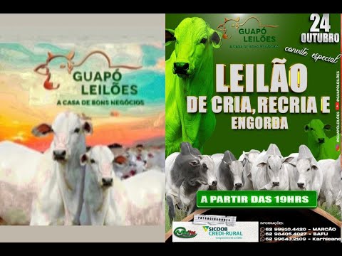 LEILÃO - GUAPÓ LEILÕES 24/10/2025