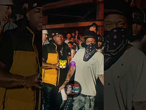 Tigueron❌Rochy RD❌ Crazy Design#rochyrd__ #crazydesign