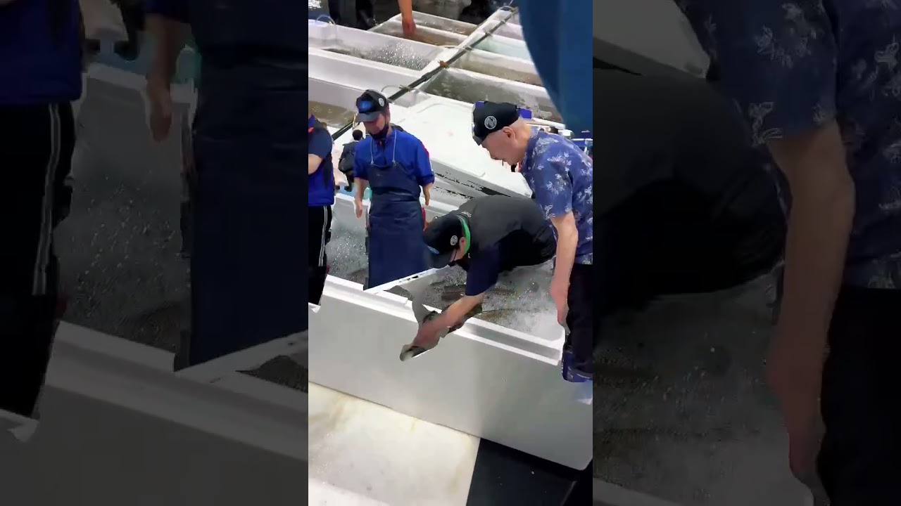 海の恵みを、最高の鮮度で。
