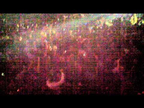 Sebastian Ingrosso @ Avalon Hollywood, November 6th, 2010