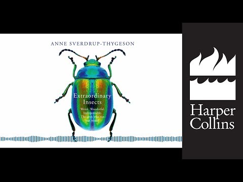 download lagu mp3 mp4 Anne Sverdrup Thygeson, download lagu Anne Sverdrup Thygeson gratis, unduh video klip Anne Sverdrup Thygeson