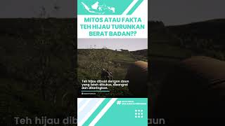 Mitos atau Fakta Minum Teh Hijau Mampu Menurunkan Berat Badan? Begini Penjelasannya