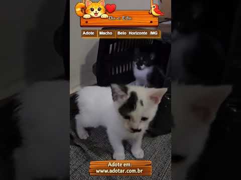 Vídeo de Du