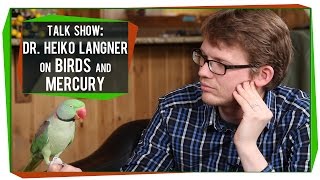 SciShow Talk Show: Dr. Heiko Langner on Birds and Bioaccumulation