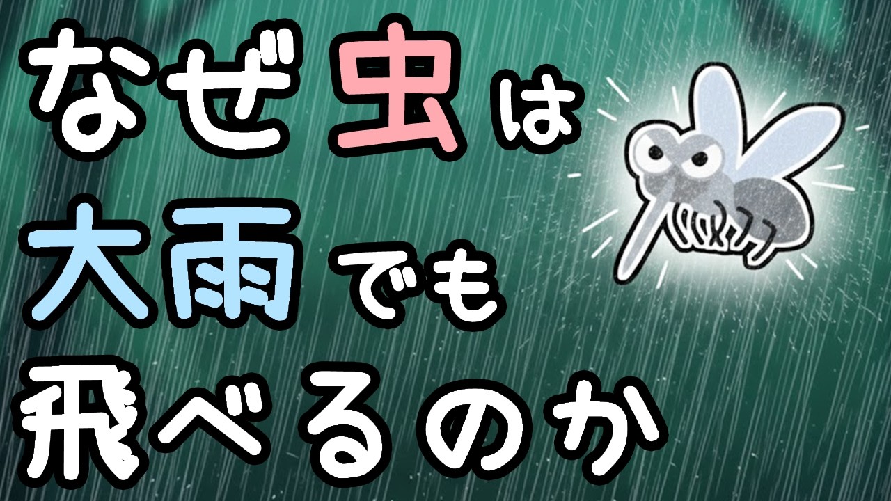 虫が大雨の中でも飛べる理由【ざっくり解説】