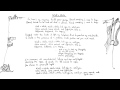 Rae Morris - Wait A While [Audio & Lyrics] 