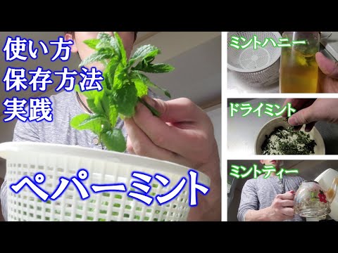 ヘビに対してペパーミントを使用するにはどうすればよいですか?庭園の秘密  庭園