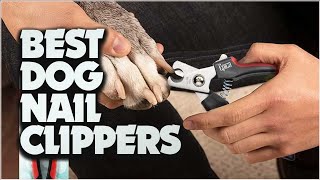 Nail Your Dog's Grooming: Best Dog Nail Clippers!