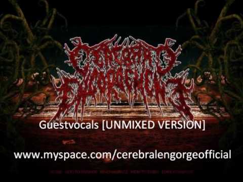Guestvocals: Cerebral Engorgement - Breeding In The Bowels online metal music video by CEREBRAL ENGORGEMENT