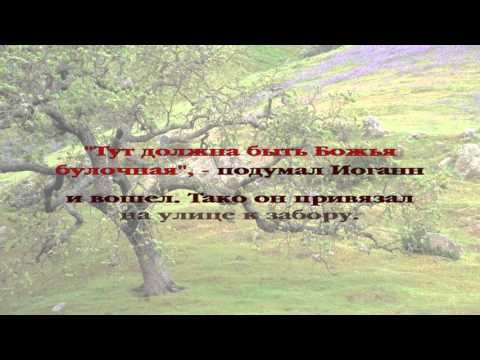 Вечерние рассказы для детей. История 075