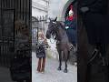 Unruly Tourist Gets a Royal Nudge from the King's Guard!"