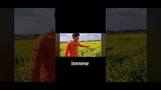 #motivation 松岡修造　shuzo matsuoka