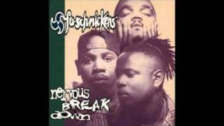 Fu Schnickens - Got It Covered