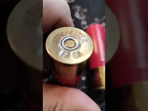 Ergonomics (Looks, Feel, Function) of the Winchester SXP