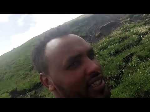 seenaa akka malle nama dinqisisuu ummamma waqaa