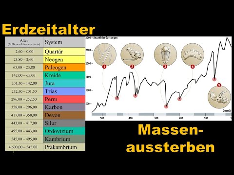 Erdzeitalter und Massenaussterben [Vorlesung, Tutorial]