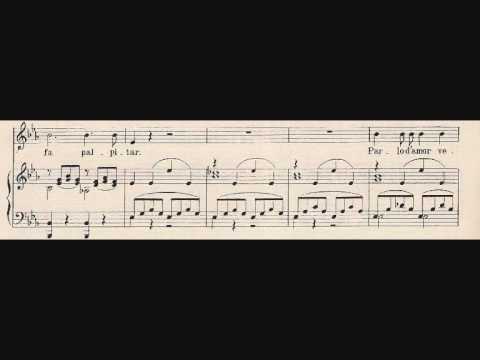 Mozart - Le Nozze di Figaro: "Non so più cosa son, cosa faccio"