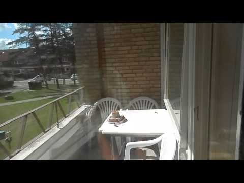 MongoTV_057 - Fulde Olsen Pudser Vinduer Så Forårssolen Kommer Ind