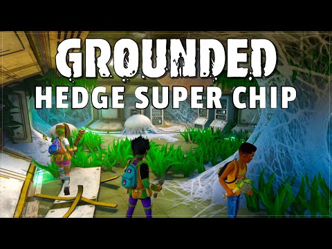 RETRIEVING THE HEDGE SUPER CHIP | Grounded 2022 | 05