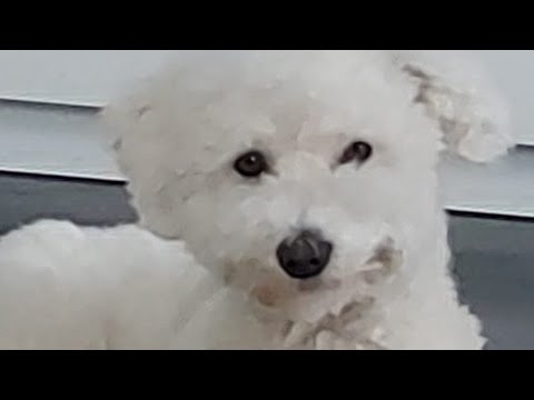 jymyn top 5 parhaat palat