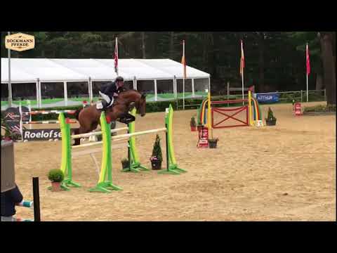 Böckmanns Lord Pezi Junior