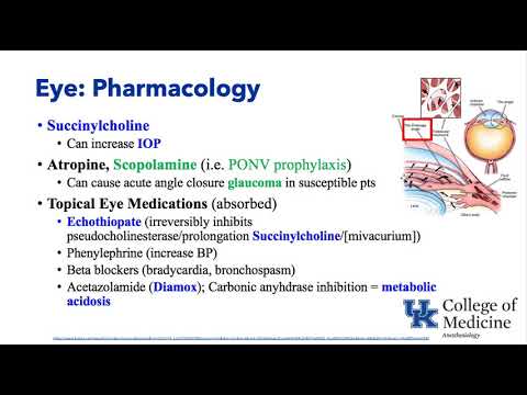 Anesthesiology Keyword Review - Eyes & Anesthesia - (Dr. Schell)