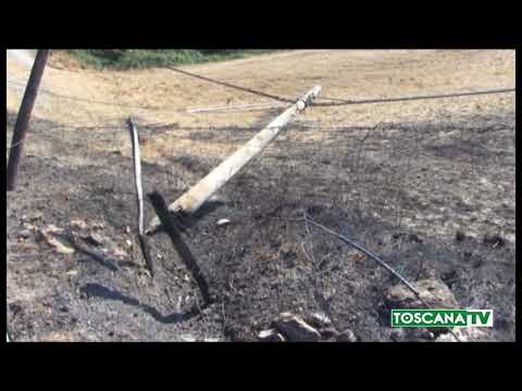 2017-08-26 TOSCANA - OLTRE 200 INCENDI SOLO AD AGOSTO