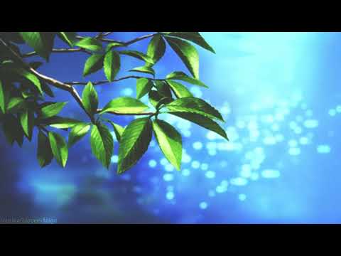 Chris Travis x Anime Jazz type beat ( Prod Indigo )