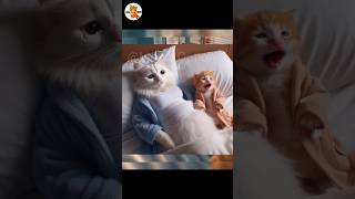 Download lagu Cute cat was taken away #cutecat #catlover #catvideos#meowoption #cat mp3 Download lagu Cute cat was taken away #cutecat #catlover #catvideos#meowoption #cat mp3