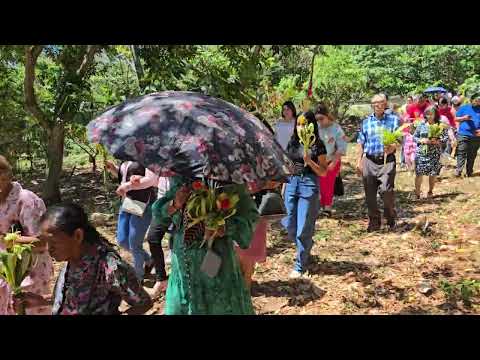 Domingo de Ramos en Iglesia San Maria de Santiago de María