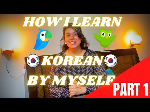 How I Learn Korean All By Myself as an Indian Teen PART 1: Recap of my Journey + Tips for Beginners!