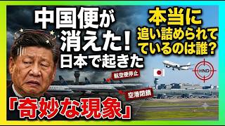 中国の航空便が消えた後、日本で起きた奇妙な現象：本当に追い詰められているのは誰か？