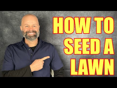 How to Plant a Yard & Grass Seed Like a Pro- Grow a New Lawn, Overseeding like the Pro’s Do It