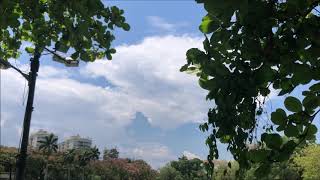 Nara Leão - O Barquinho