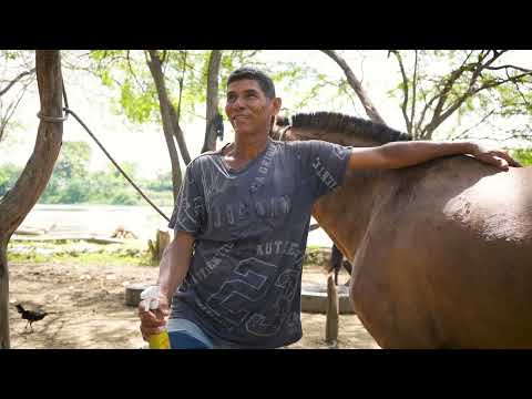 Tras 15 años, el sur del Atlántico no se repone de la ruptura del canal del Dique