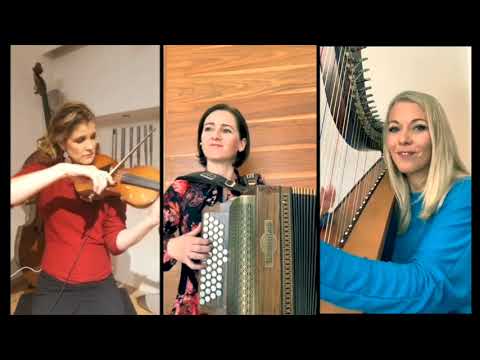 DIE HOAMELIGEN - Polka: Die Lärmlief