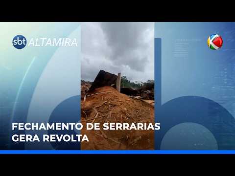 AÇÃO DO IBAMA FECHA SERRARIAS E GERA CRISE EM SENADOR JOSÉ PORFÍRIO (PA) | SBT Altamira